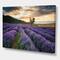 Designart - Sunrise & Dramatic Clouds Over Lavender Field VII - Farmhouse Canvas Wall Art Print